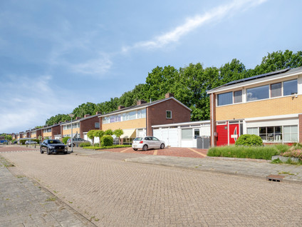 Tulpstraat 30