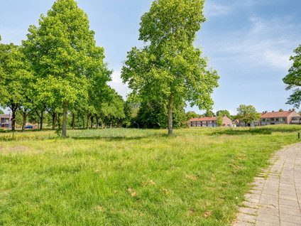 Tulpstraat 30