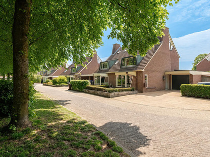 Kempenaar 35