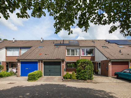 Pieter Taemszstraat 4
