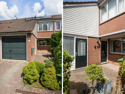 Pieter Taemszstraat 4