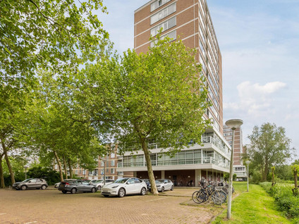 Maassluisstraat 44