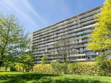 Henri Dunantstraat 275