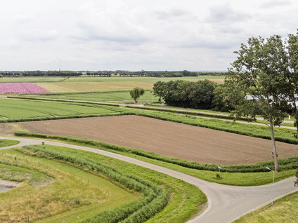 Koekoeksweg 3