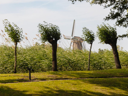 Poeldijk 1b