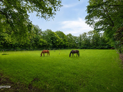 Oude Rielsebaan 185