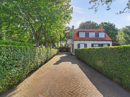 Zandwekken 3