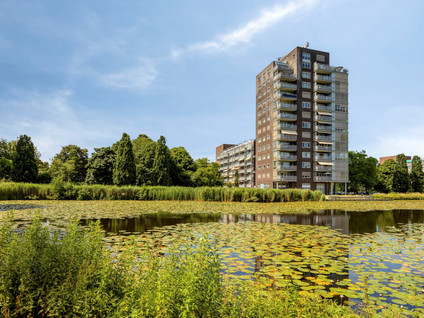 Roodborststraat 57