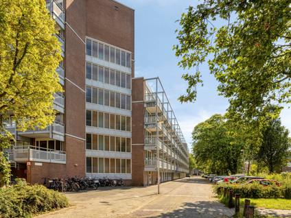 Roodborststraat 57