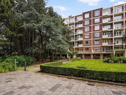 Ranonkelstraat 171