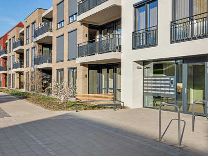 homes for rent on Molenlaan 83
