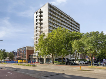 Adriaen van der Doeslaan 243