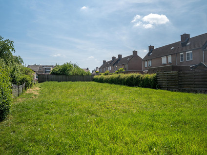 Iepenlaan 