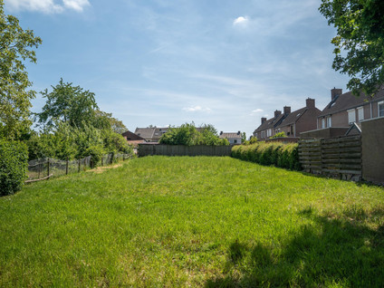 Iepenlaan 