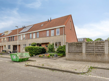 Grauwe Gans 42