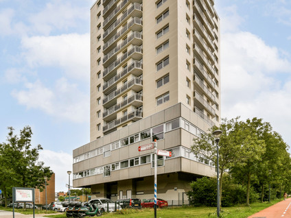 Professor Van Der Scheerstraat 203A