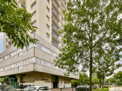Professor Van Der Scheerstraat 203A