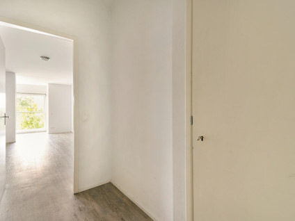 Professor Van Der Scheerstraat 203A
