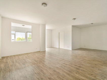 Professor Van Der Scheerstraat 203A