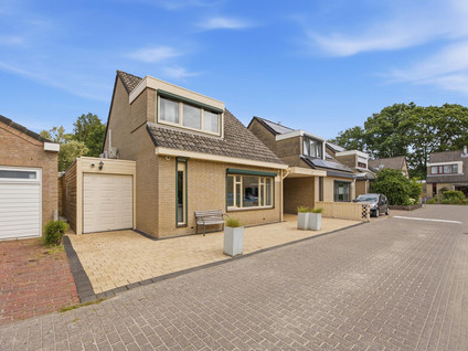 Iepenbroek 3