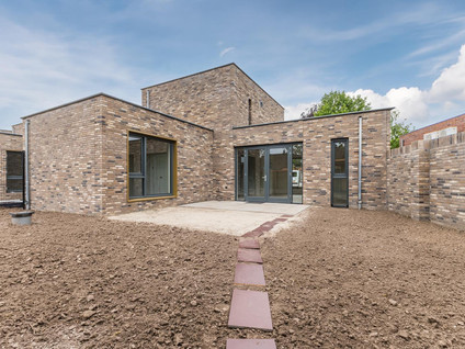 Specht 8