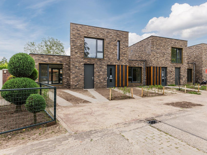 Specht 8