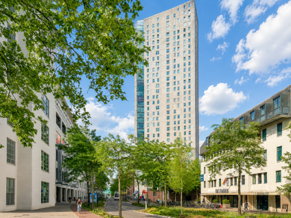 Emmasingel 31 217
