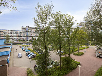 Herenwaard 17