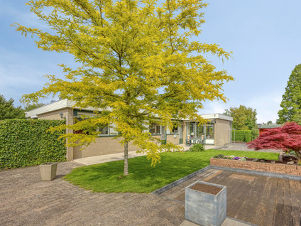 Van Maerlantpark 1