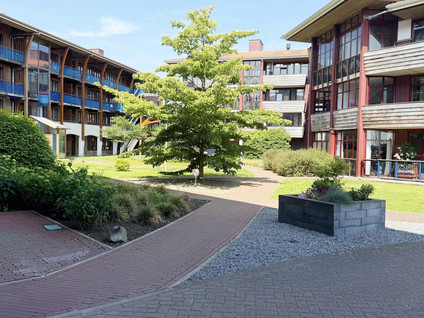 Zuiderzee op Zuid 83