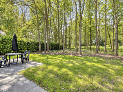 Groene Heuvels 183