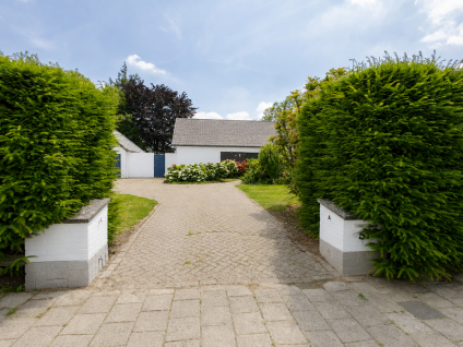 Singel 51