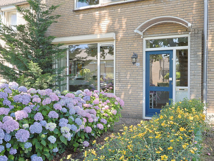 Lijsterbesgaard 42