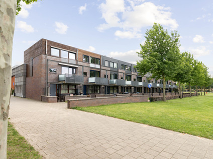 Brandts Buyspark 3