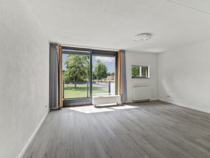 Brandts Buyspark 3