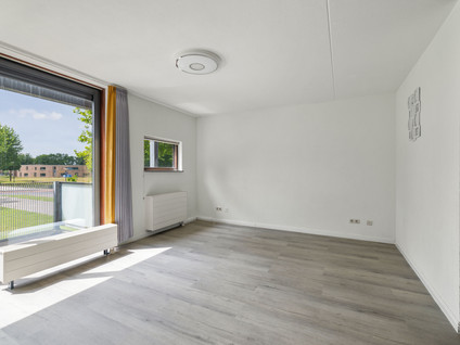 Brandts Buyspark 3
