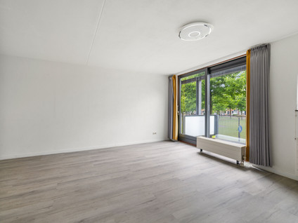 Brandts Buyspark 3