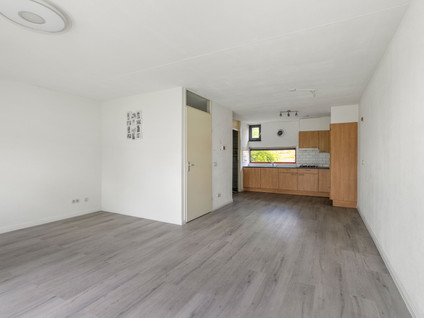 Brandts Buyspark 3