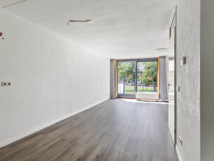Brandts Buyspark 3