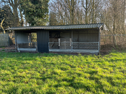 Weijenborgerdijk 