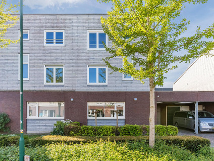 Baansteen 29