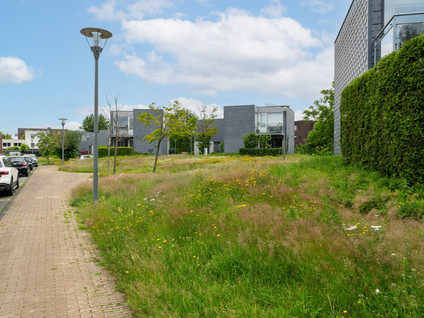 Villa Waterviolier 16