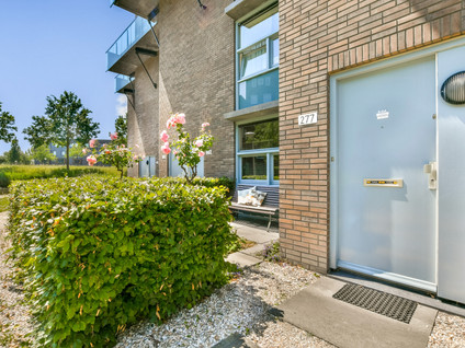 Ladogameerhof 277
