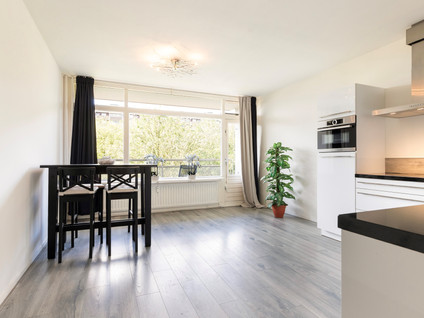 Jisperveldstraat 233