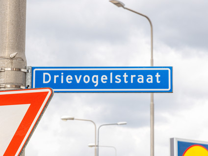 Drievogelstraat 183