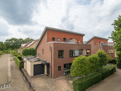 Eikebladvlinder 7