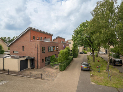 Eikebladvlinder 7