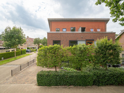 Eikebladvlinder 7