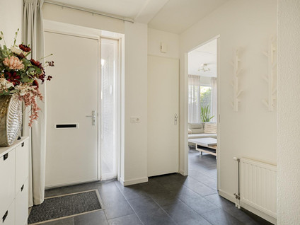 Alexander de Grotestraat 17