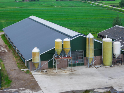 Flieterpsterdyk 49